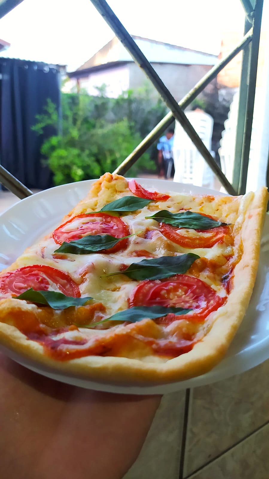 Pizza margherita